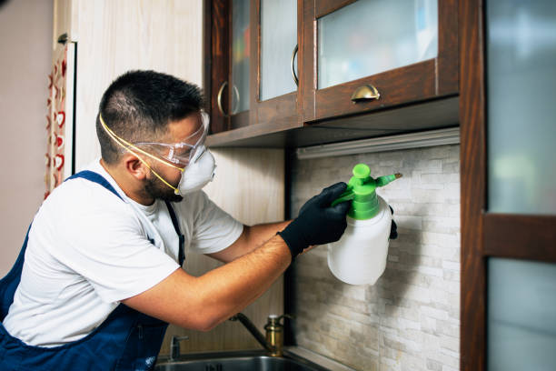 Best Residential Pest Control  in Chatsworth, GA