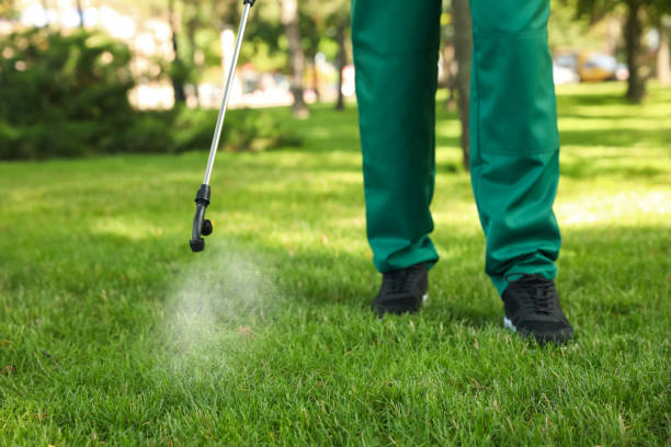 Best Ant Control Services  in Chatsworth, GA