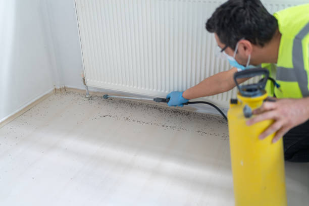 Pest Control for Restaurants in Chatsworth, GA