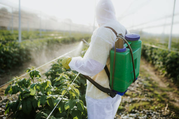 Best Mosquito Control Services  in Chatsworth, GA